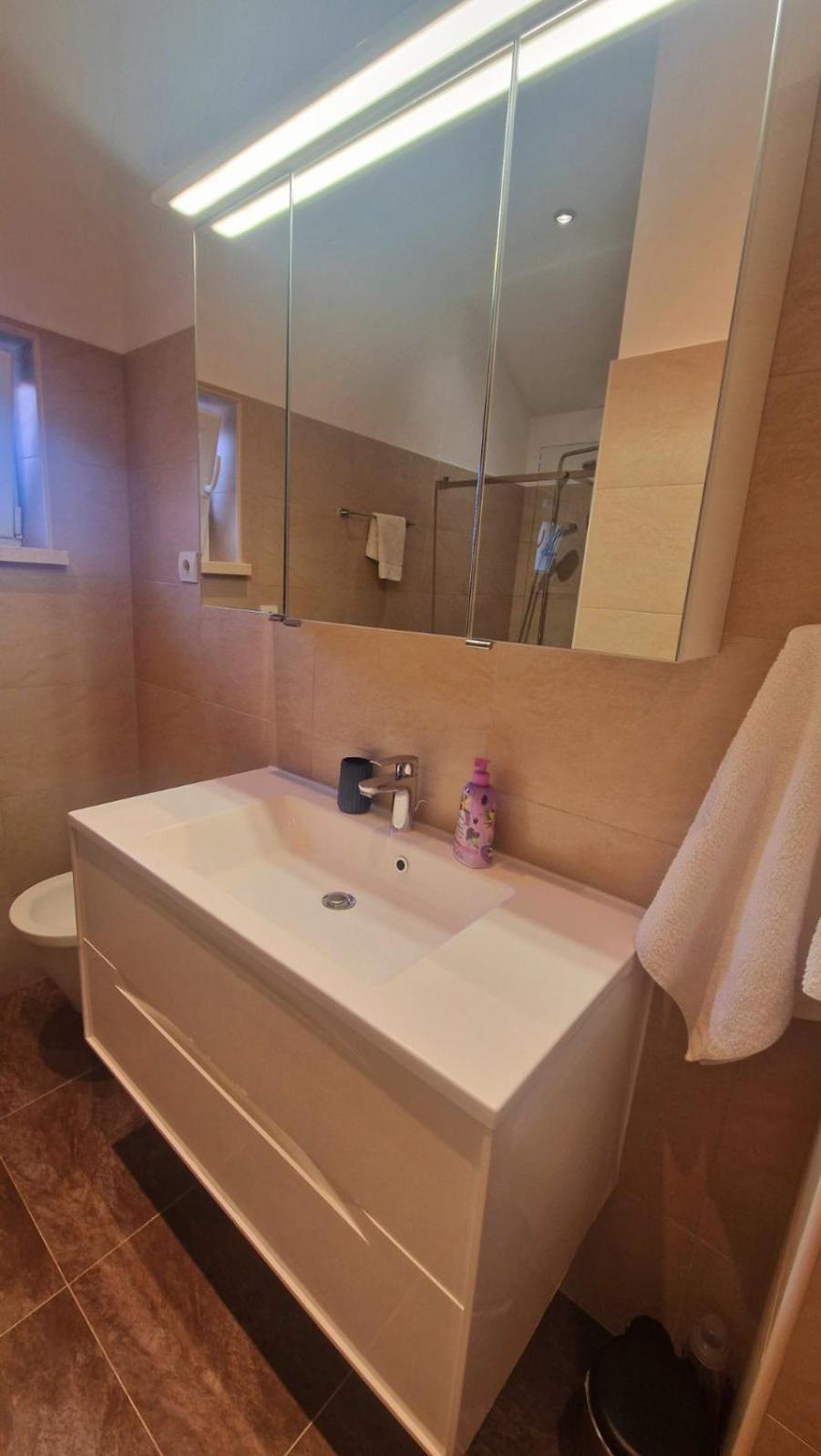 Apartment Mara Орашац Экстерьер фото