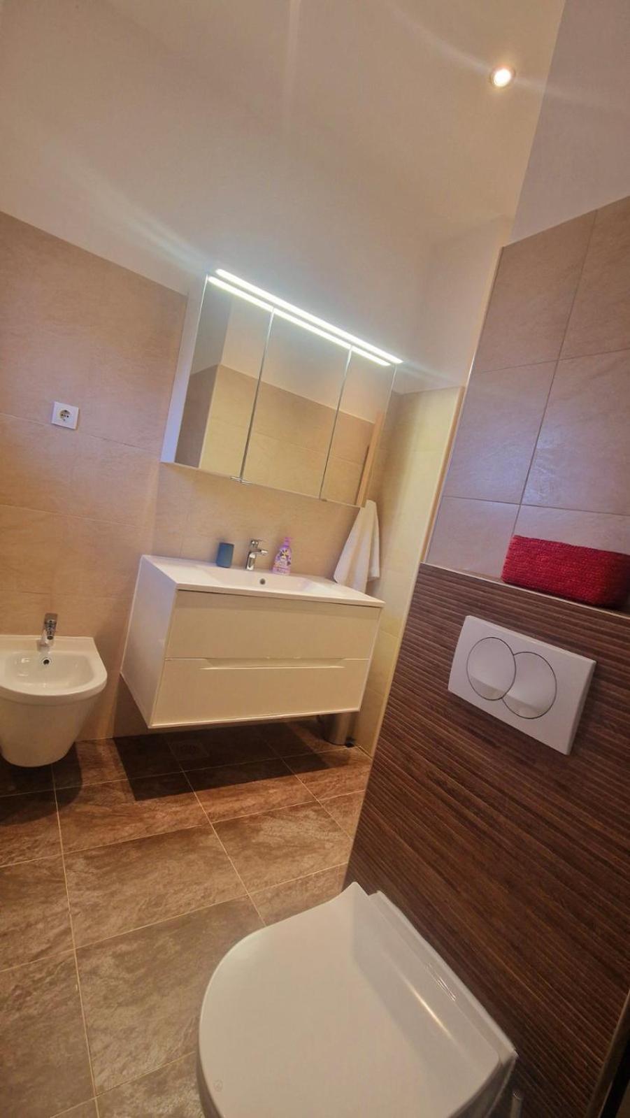 Apartment Mara Орашац Экстерьер фото